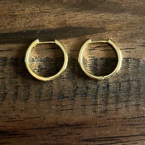 Small Gold Tone Hoops